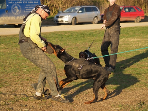 Training in Prague 3/2007